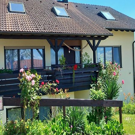 Gaestehaus Gaby Bad Bellingen Εξωτερικό φωτογραφία