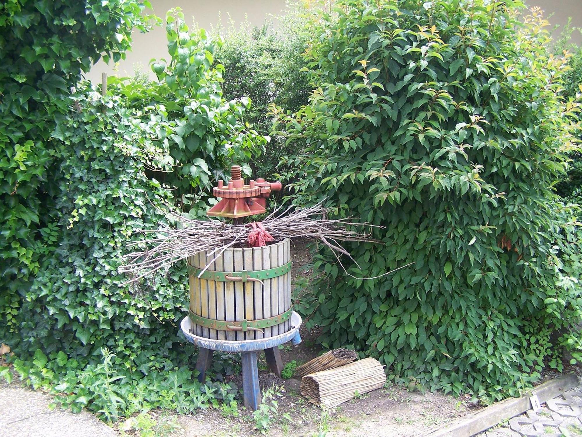 Gaestehaus Gaby Bad Bellingen Εξωτερικό φωτογραφία